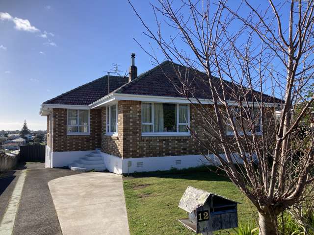 12 Watene Crescent Waitara_2