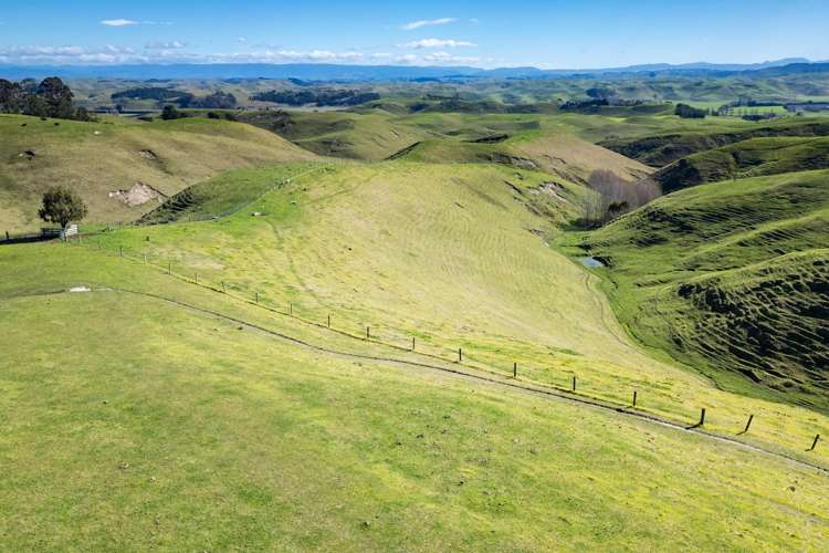 201 Breckenridge Road Puketapu_7