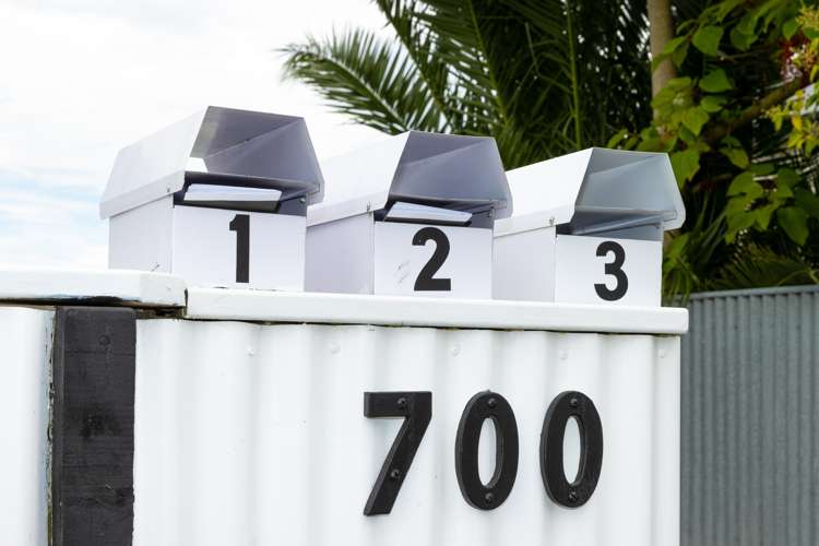 3/700 Fitzroy Avenue Mahora_10