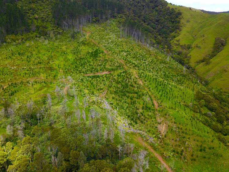 Lot 0 Te Rore Road Kaitaia_15