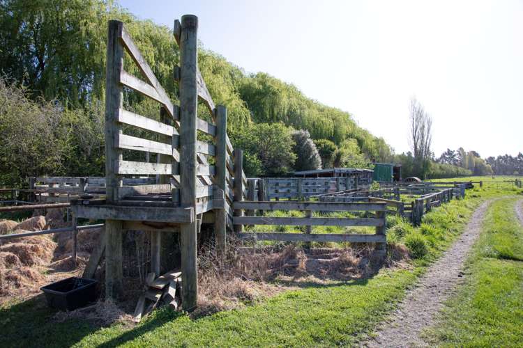 105 Jacksons Road Ohoka_6