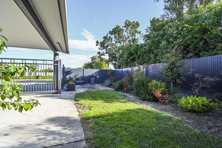 34 McElwee Street Jervoistown_19