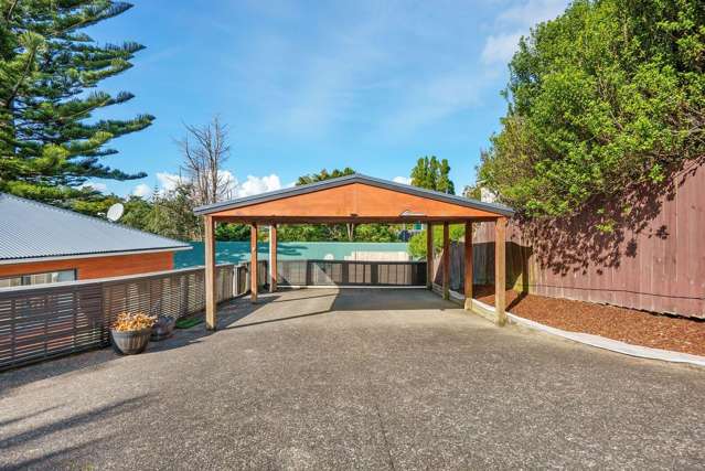 161A Don Buck Road Massey_2