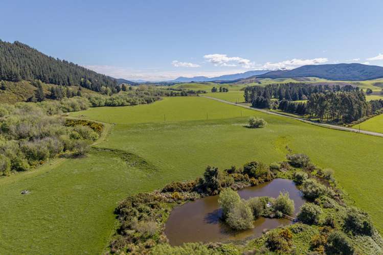 10 Riversleigh Road Glentunnel_11