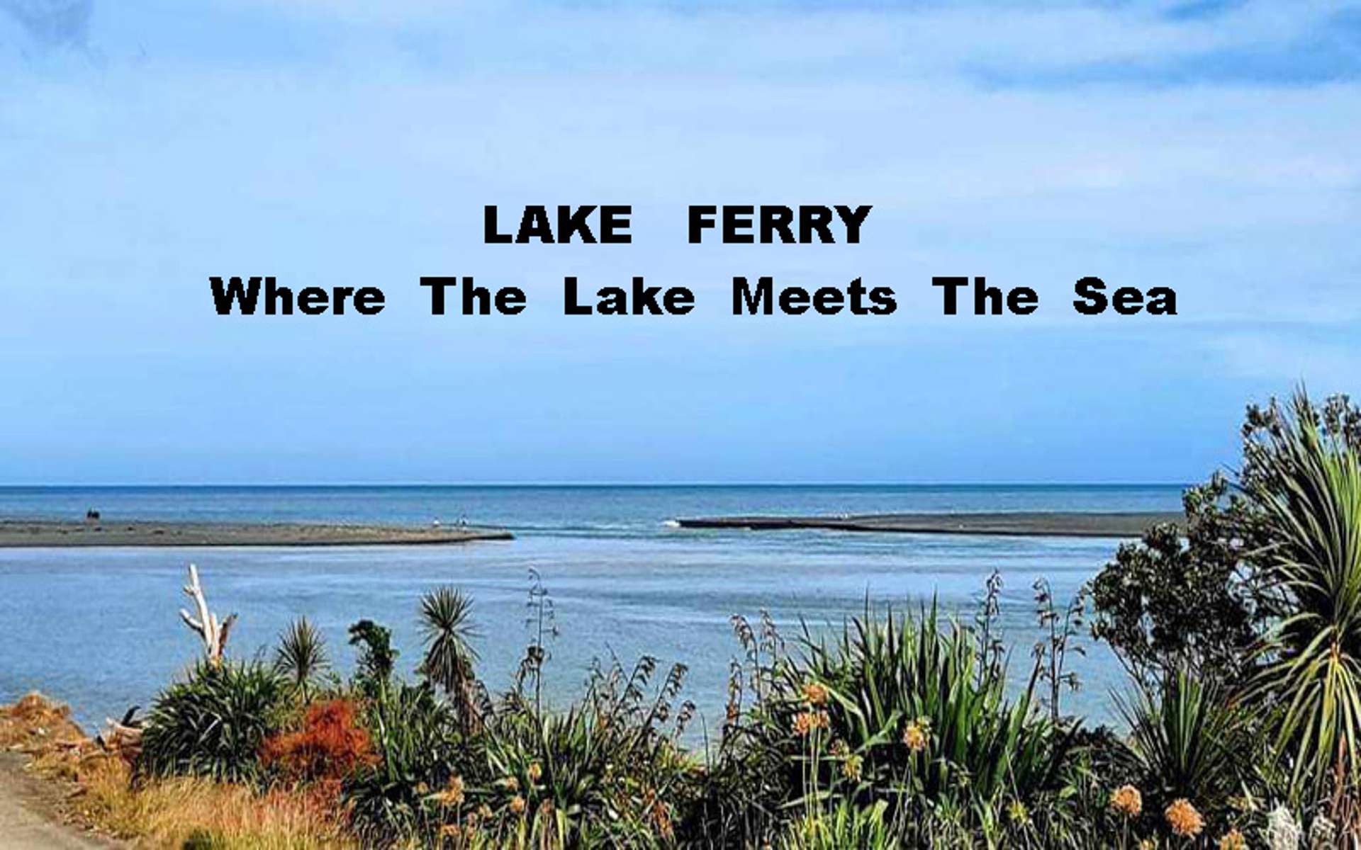 95 Lake Ferry Road Lake Ferry_0