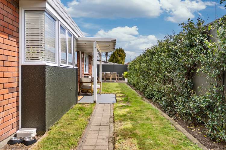 52a Sunrise Avenue Mount Maunganui_15