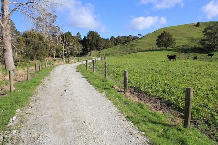 293 Lindquist Road Otamatea Surrounds_9