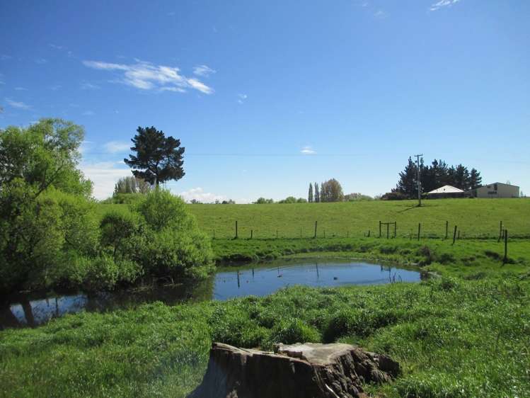 237 Rattrays Road Makikihi_11