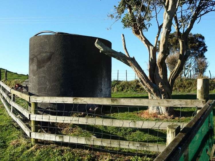 103 Kupara Road Ratapiko_12