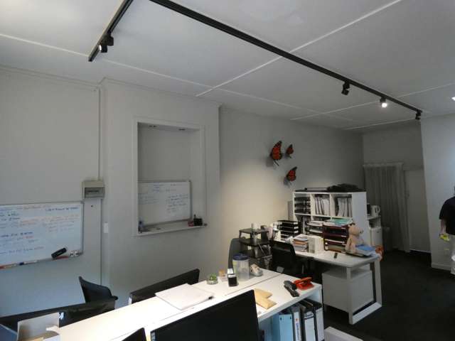 1/ 66 Ponsonby Road Ponsonby_3