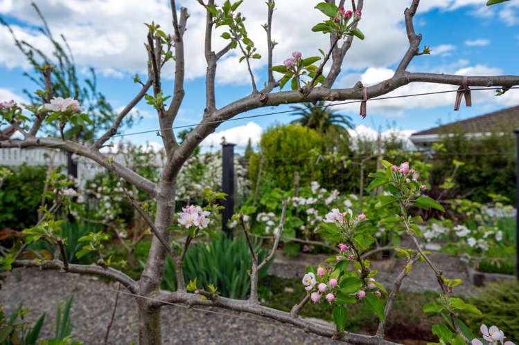 44 Robertson Street Glenholme_28