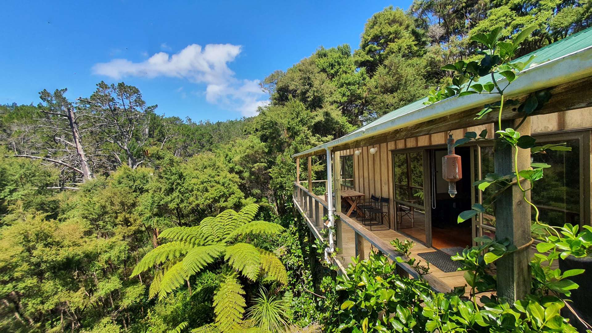 46 Schoolhouse Bay Road Kawau Island_0