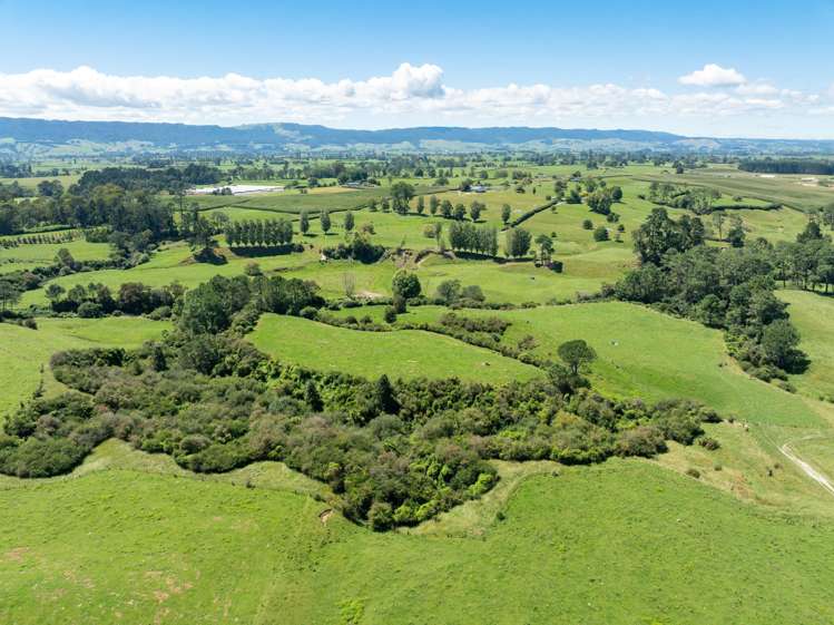 138 Taihoa South Road Matamata_28