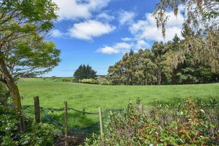 176 Brighton Road Waldronville_6