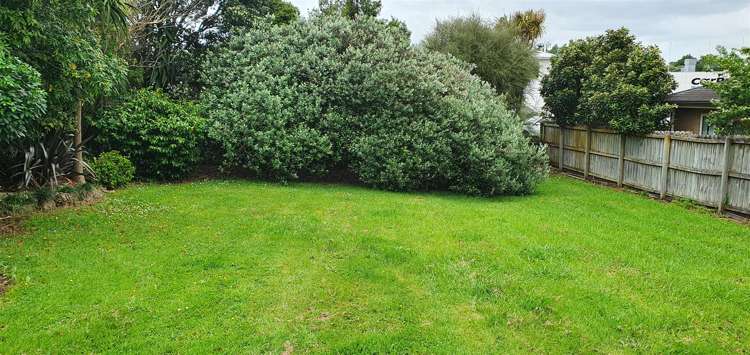 75 Vincent Street Howick_1