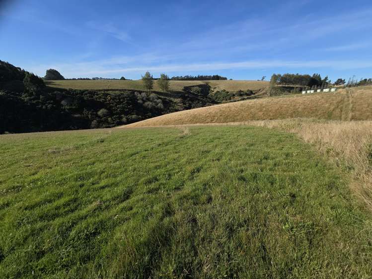 80 Cameron Road Balclutha_3