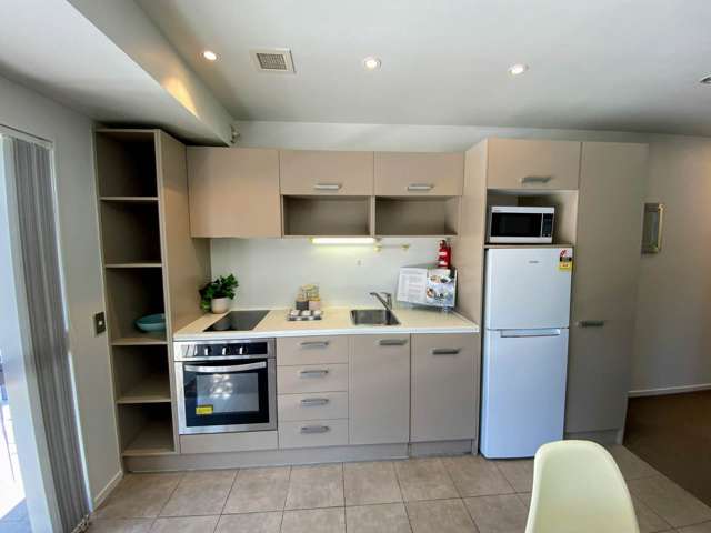 2c/208 Hobson Street Auckland Central_1