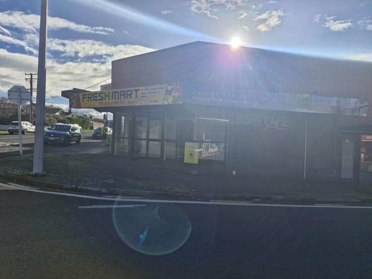 518 Sloane Street Te Awamutu_4