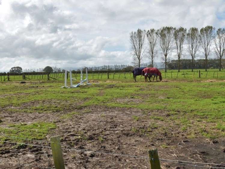 994 No 1 Road Springdale_3