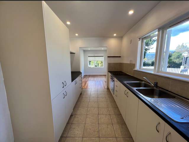 5 Puriri Street Miramar_3