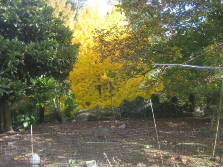 50 Overdale Street Putaruru_16