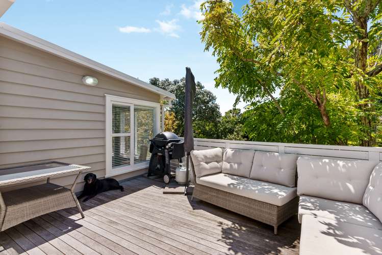 17 Alberon Street Parnell_6