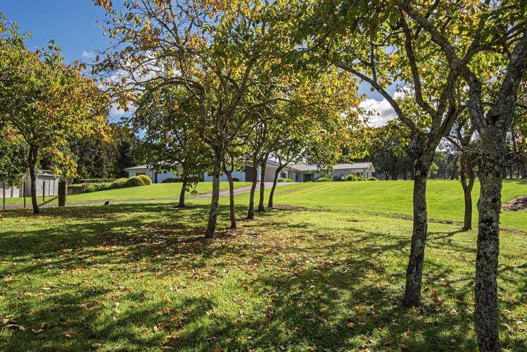587C Crane Road Kauri_27