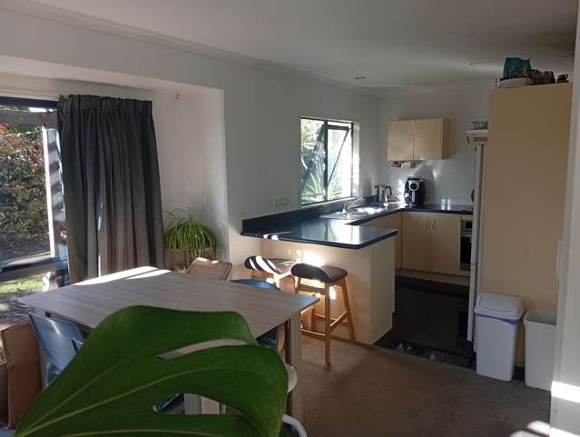1 Barbara Grove Papamoa Beach_4