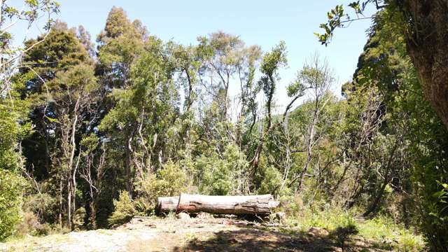 Lot 1 Lookout Road Geraldine_4