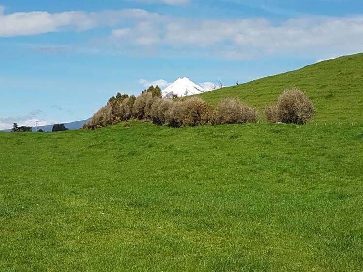 671 Frankley Road Hurworth_7