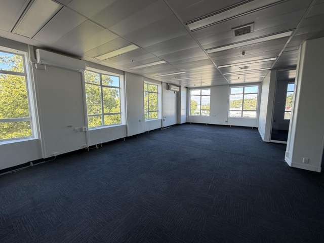 T1B/215 Hastings Street Napier South_1