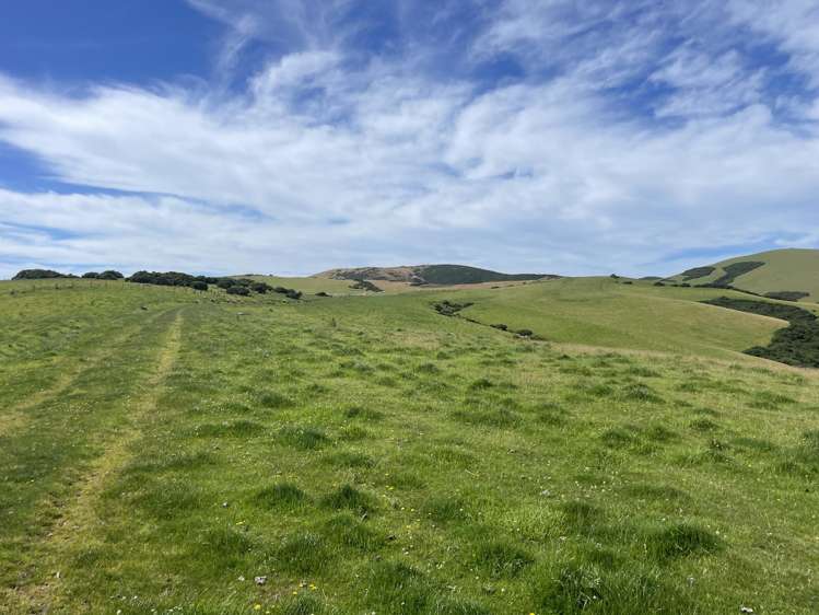 124 Strathearn Road Wairuna_11