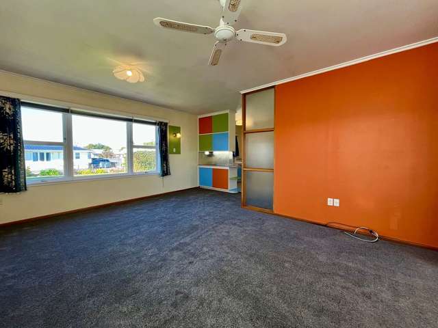 208 Lumsden Road Akina_1