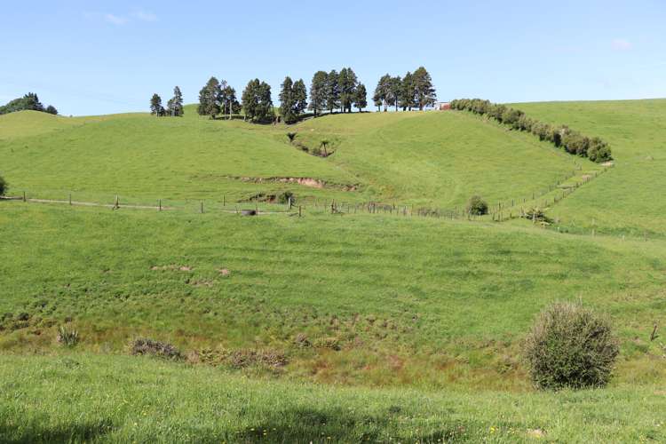 346 Lincoln Road Inglewood_6