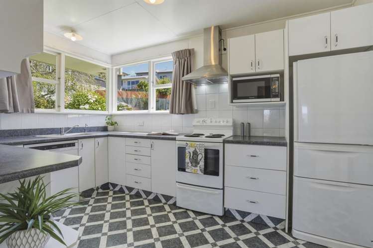 1 Ferntree Drive Wakari_1