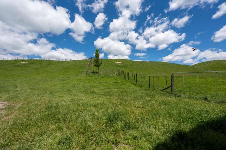 286 Jay Road Reporoa and Surrounds_25