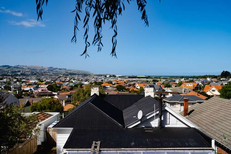 138 Forbury Road Saint Clair_20