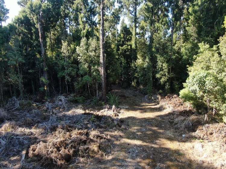 5 Jackson Place Kumara Junction_6