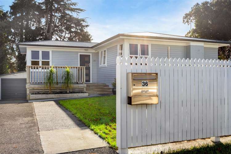 36 Mildmay Road Henderson_16