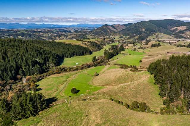 1642 Motueka River West Bank Road Motueka Valley_3
