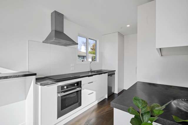 12 Karaka Street Merrilands_1