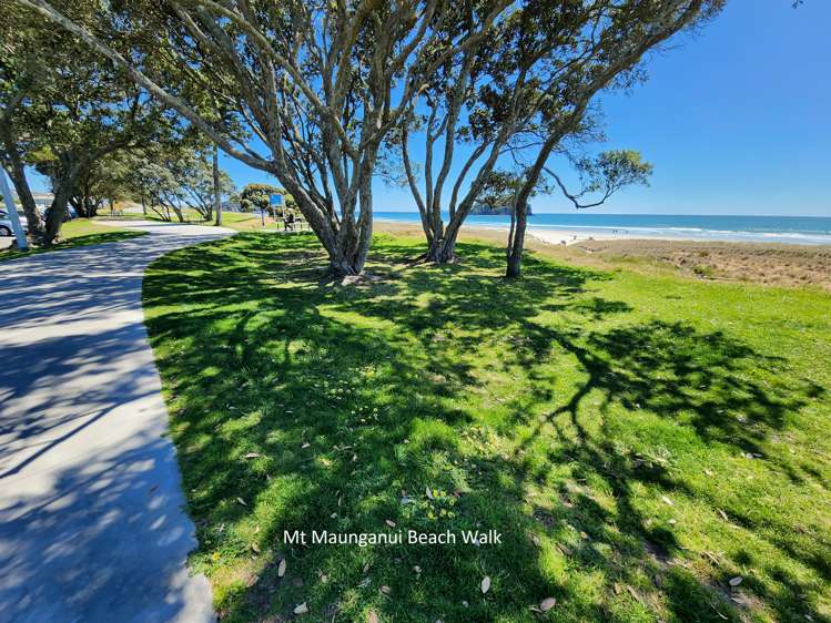 4/281 Maunganui Road Mount Maunganui_1