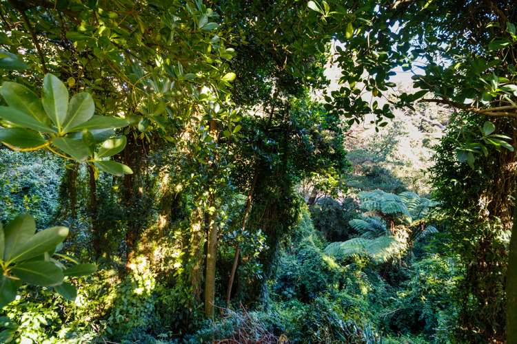 15 Mountain View Road Fitzherbert_6