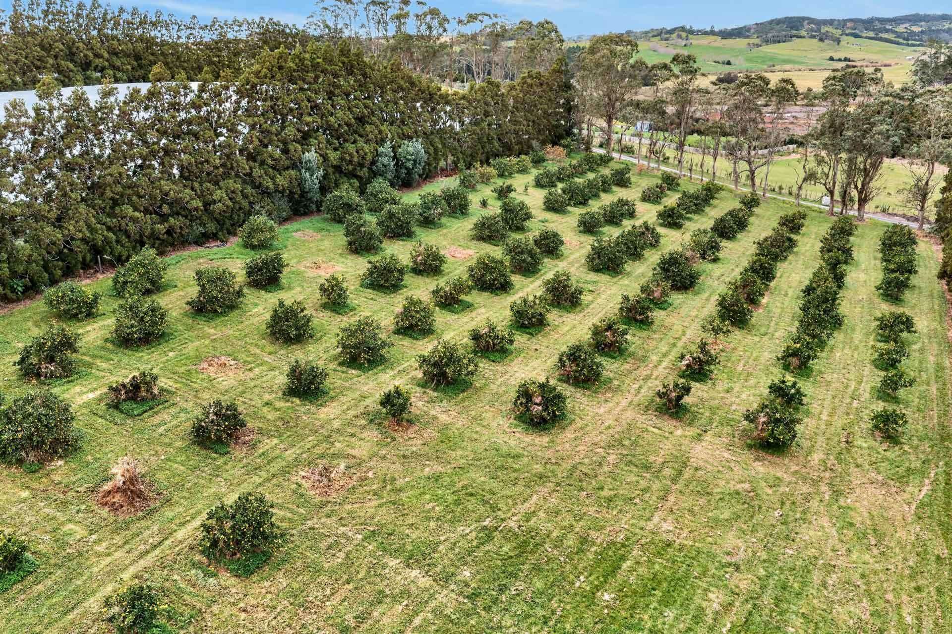 Lot 1/69a Vineyard Lane Mangawhai_0