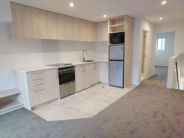 DD/20 Wilmer Street Christchurch City_2