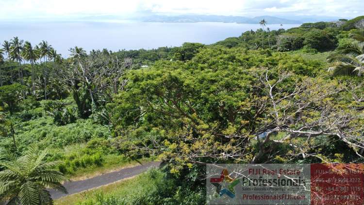 Address withheld Taveuni_16