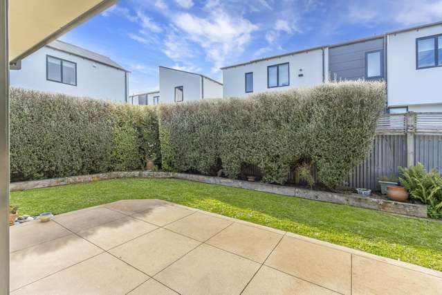 46a Plunket Street Spreydon_2
