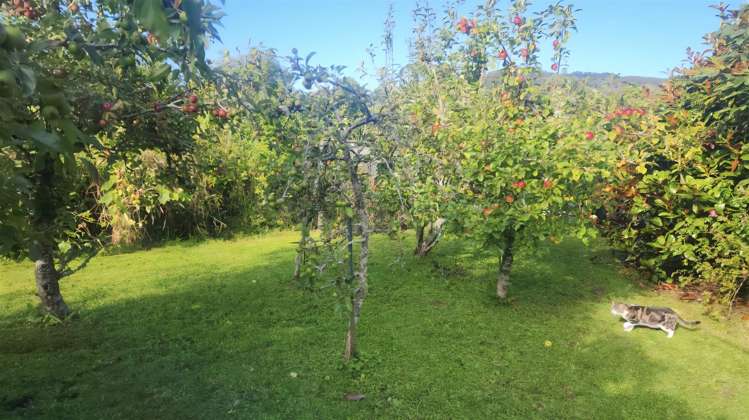 2 Mcgowan Street Runanga_23