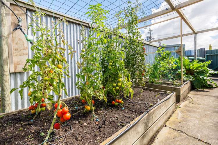 17 Manse Street Waimate_21