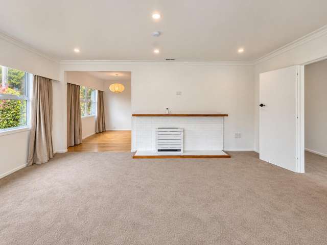 86 Carrington Street Lower Vogeltown_4